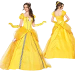 costume princesse disney pour adulte